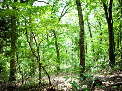 2940 Rocky Ridge Rd, Glencoe, MO, 63038