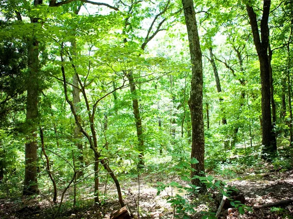 2940 Rocky Ridge Rd, Glencoe, MO 63038