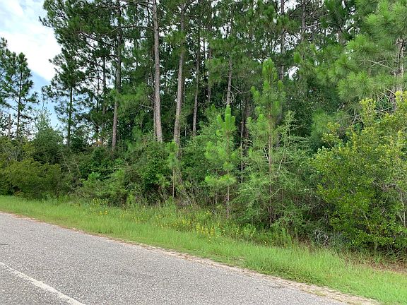 4th image of 2363 Knotty Pine Dr