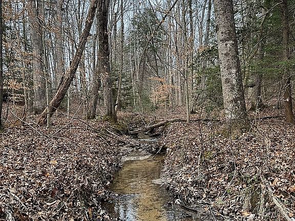 5th image of Edd Stephens Rd