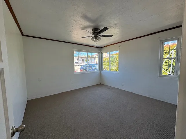 1663 Burton St — Photo 5