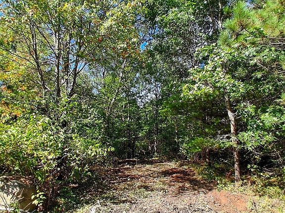 4th image of 18 W Rapids Rd Lot 18