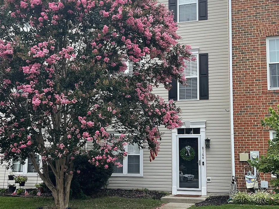 8164 Poinsett Ter