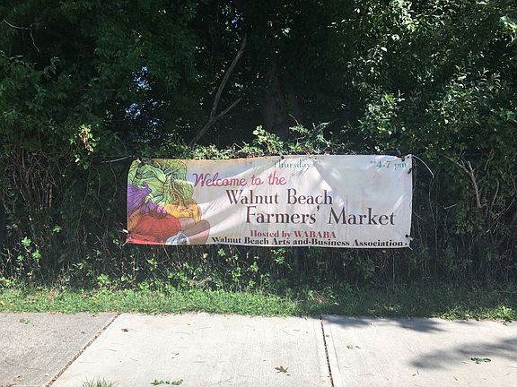 Walk to beach activities 