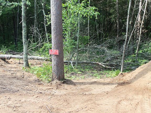 2nd image of LOT 1 Brch Tree Trl