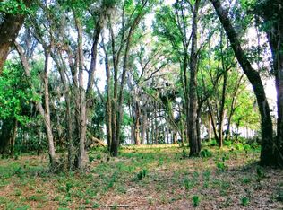 133 Orange Tree Rd E, East Palatka, FL 32131