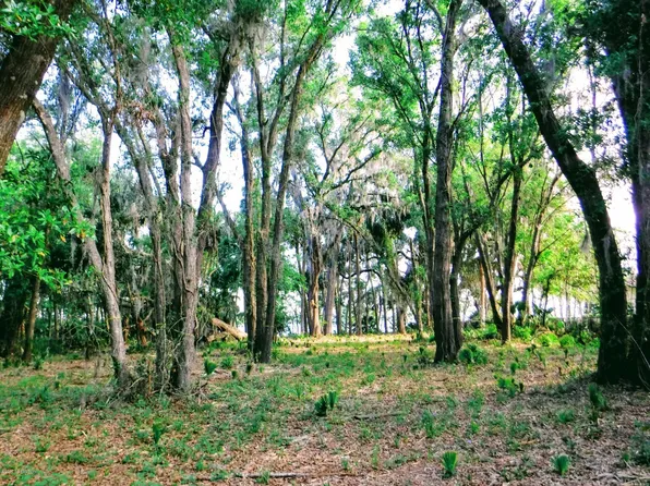 133 Orange Tree Rd E, East Palatka, FL 32131