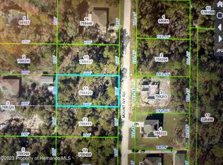 0 Mount Ivy Rd, Brooksville, FL 34613
