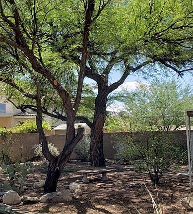3rd image of 639 S Sierra Nevada Dr