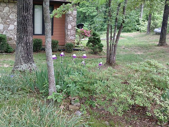 4th image of 341 Dogwood Cir