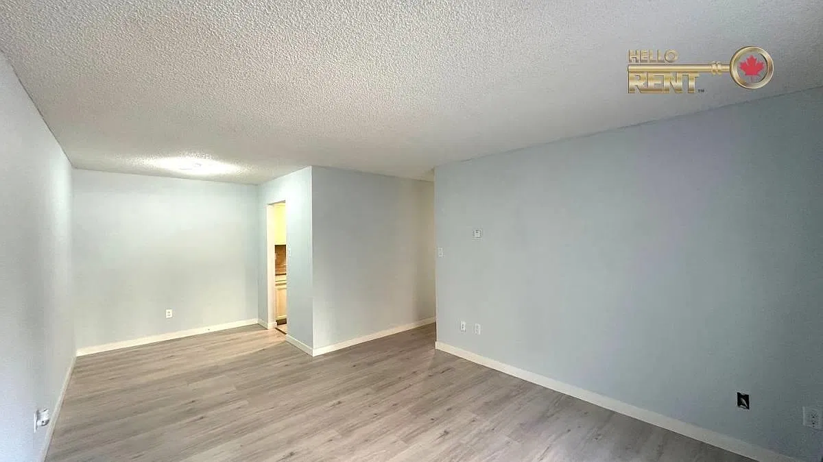 2 bed, 750 sqft, $2,350 — Photo 4