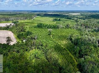 0 Bennett Mill Pond Rd, Odum, GA 31555