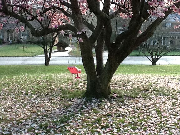 Bay window view in Spring