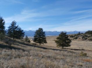 195 Saddle Horn Rd, Hartsel, CO 80449