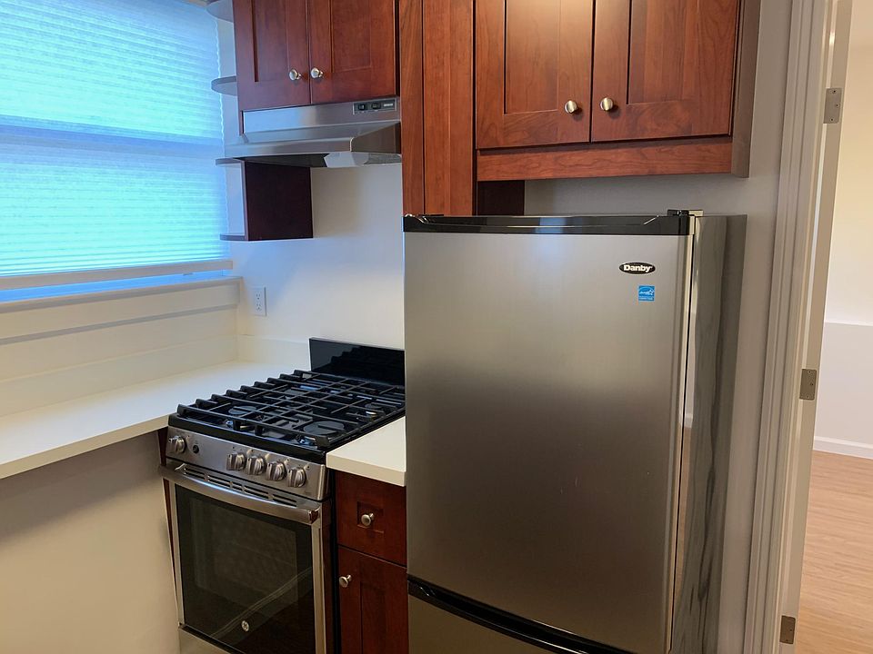 Kitchen: Stove, Fan and Fridge