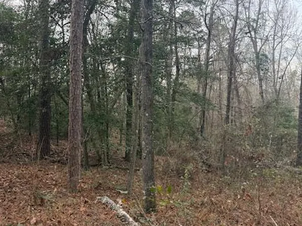 2005 Mcdade Farm Road, Hephzibah, GA 30815