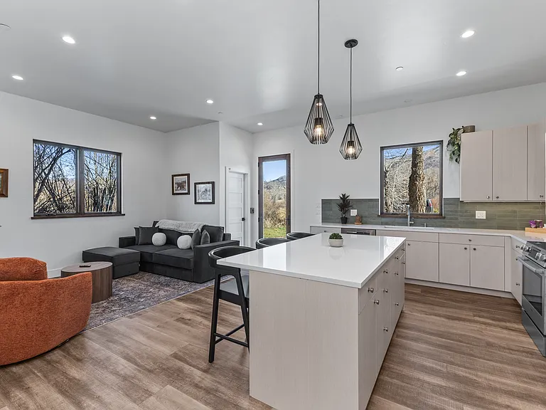 Full Kitchen and Living Room View