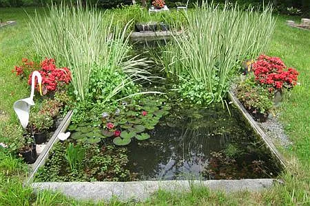 GOLDFISH POOL