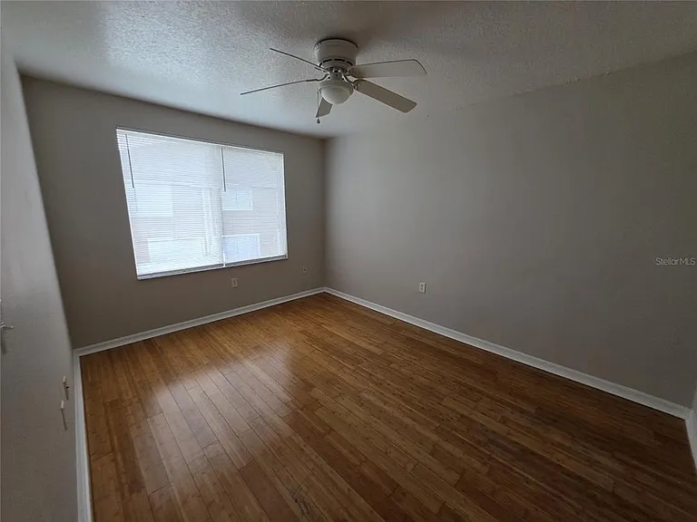 2419 Fan Palm Dr — Photo 17