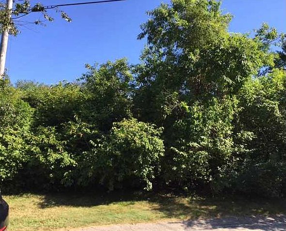 1st image of 331 Blackberry Hill Dr