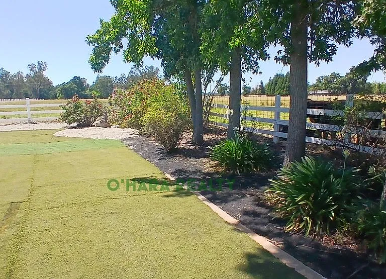 10133 Davis Rd — Photo 33
