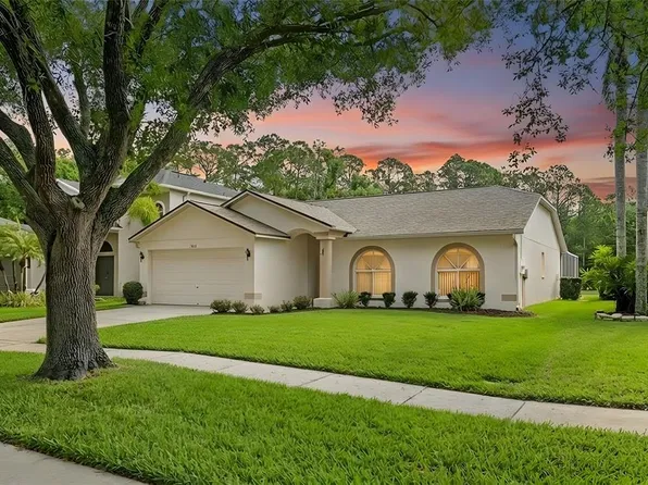 13010 Royal George Ave, Odessa, FL 33556