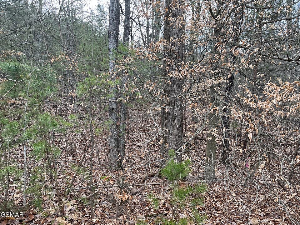 1st image of 23 Blue Springs Way Lot 23
