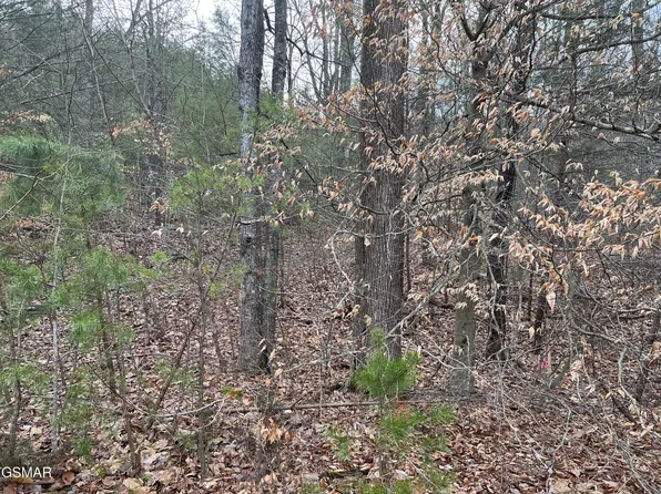 23 Blue Springs Way Lot 23, Newport, TN 37821