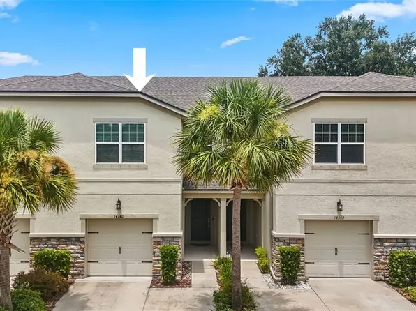 14140 DAMSELFLY DRIVE, TAMPA, FL 33625