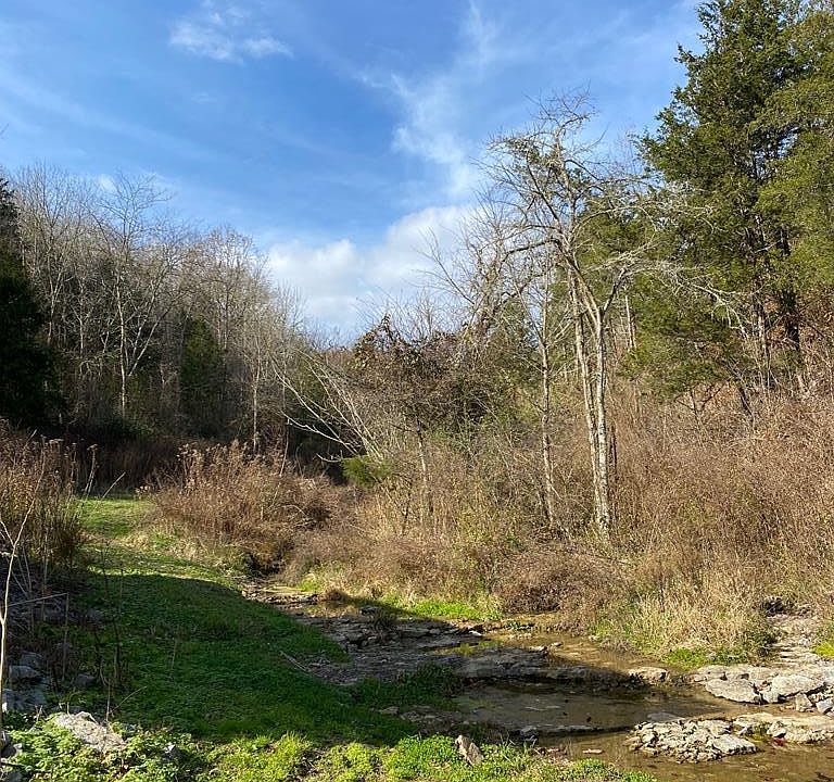 2nd image of Old Spivey Ln
