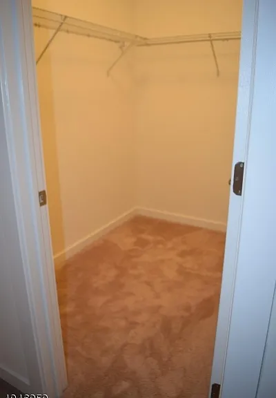 229 Parkview Ln — Photo 16