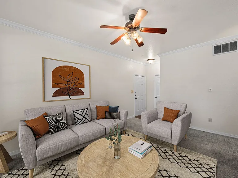 Standard Living Room Staged