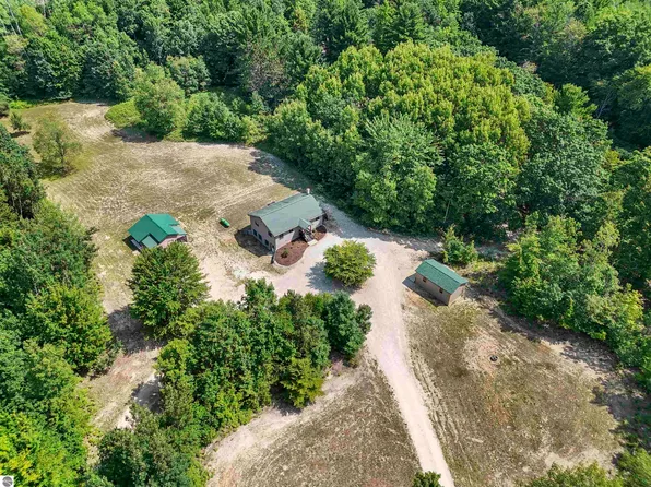 10536 Ryan Rd, Honor, MI 49640