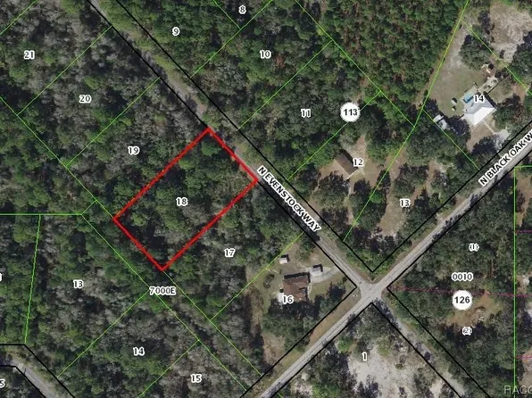 9000 N Evenstock Way, Crystal River, FL 34428