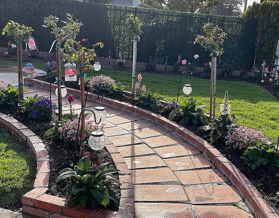 Beautiful front garden 