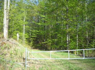 Currie Rd, Atlanta, MI 49709