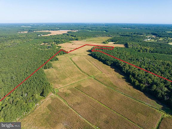 2nd image of 0 Greenbriar Swamp Rd