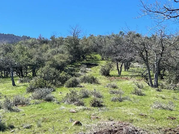 LOT 569 Ponderosa St, Hornbrook, CA 96044