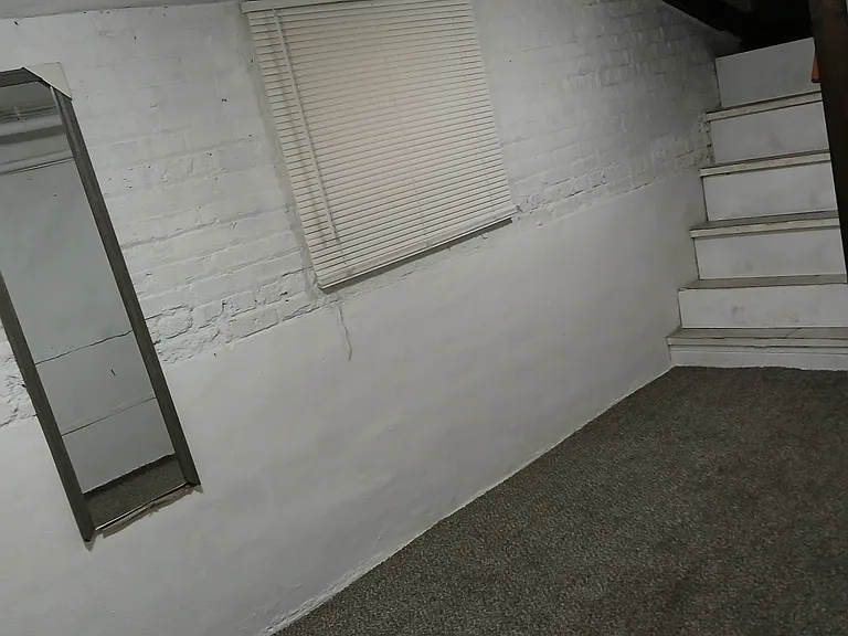 5017 N Springfield Ave #BASEMENT — Photo 22