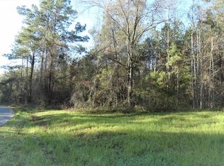 Casa Bianca Rd, Monticello, FL 32344