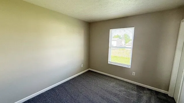 3412 Black Forest Ln — Photo 13