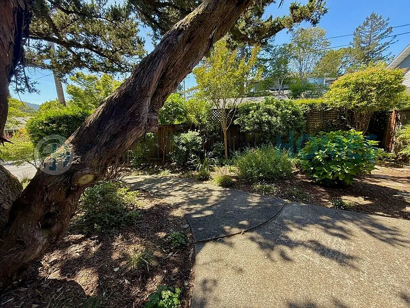 Building Photo - 128 McAllister Ave #CA 94904