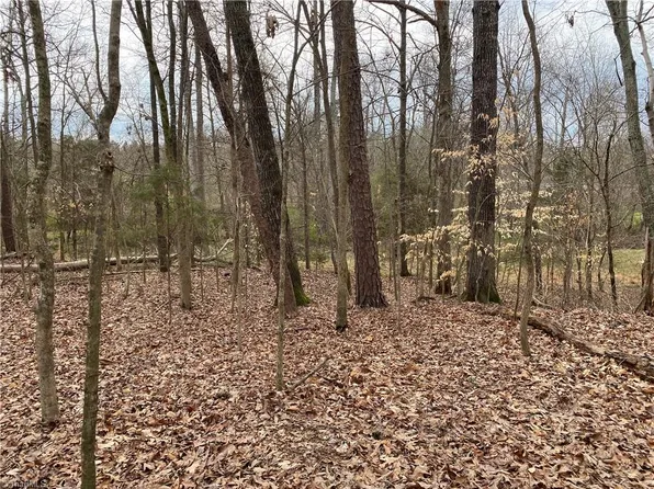 LOT 3 Sania Ct, Graham, NC 27253