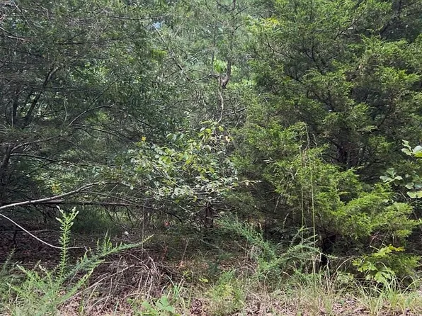 0 County Road 995 Dogwood Park 9 Lot 30 #34, Mountain Home, AR 72653