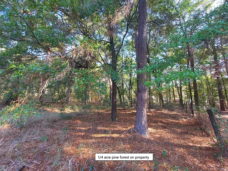 6636 Hetzel Dr — Photo 20