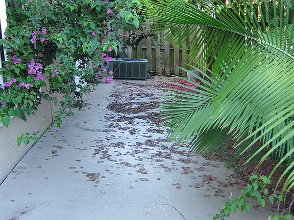 4th image of 9871 Watermill Cir APT F