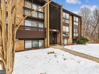 11560 Rolling Green Ct APT 100, Reston, VA, 20191