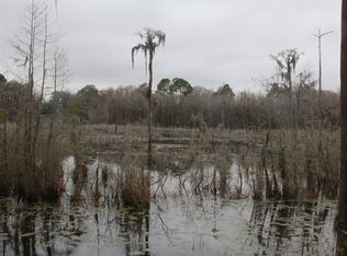 382 Ramblinwood Rd, Ray City, GA 31645