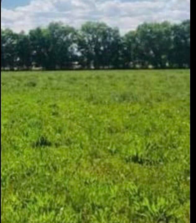 2nd image of Coyote Ln