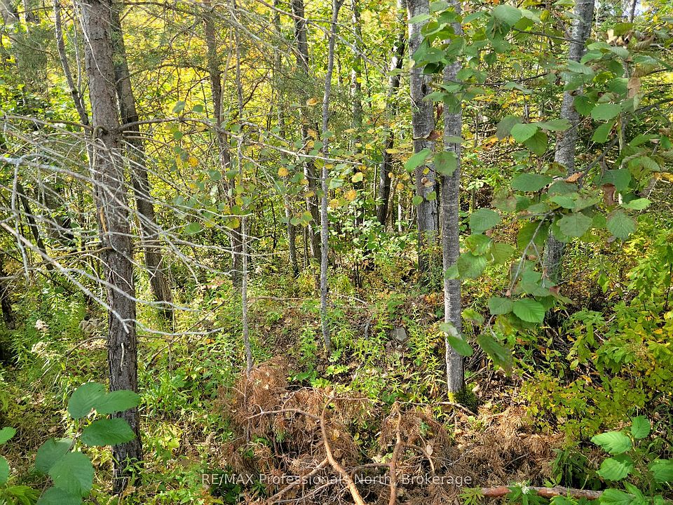 1st image of 4 Fox Run Ln #32